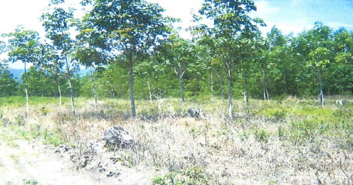 AssetsLink SME Bank Asset and Property Listings Vacant land for