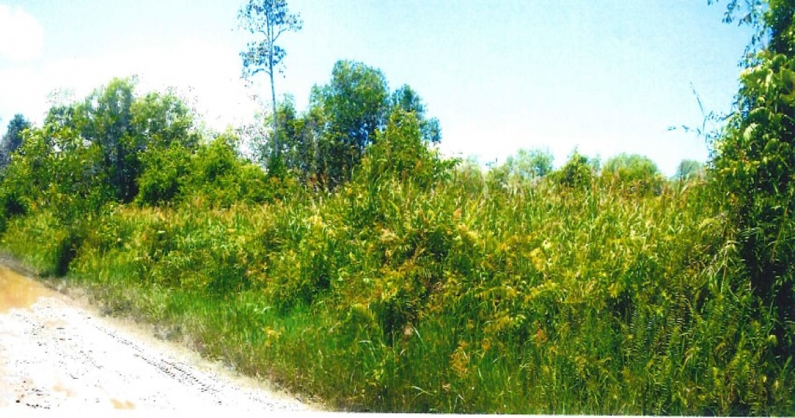 AssetsLink SME Bank Asset and Property Listings Vacant land for