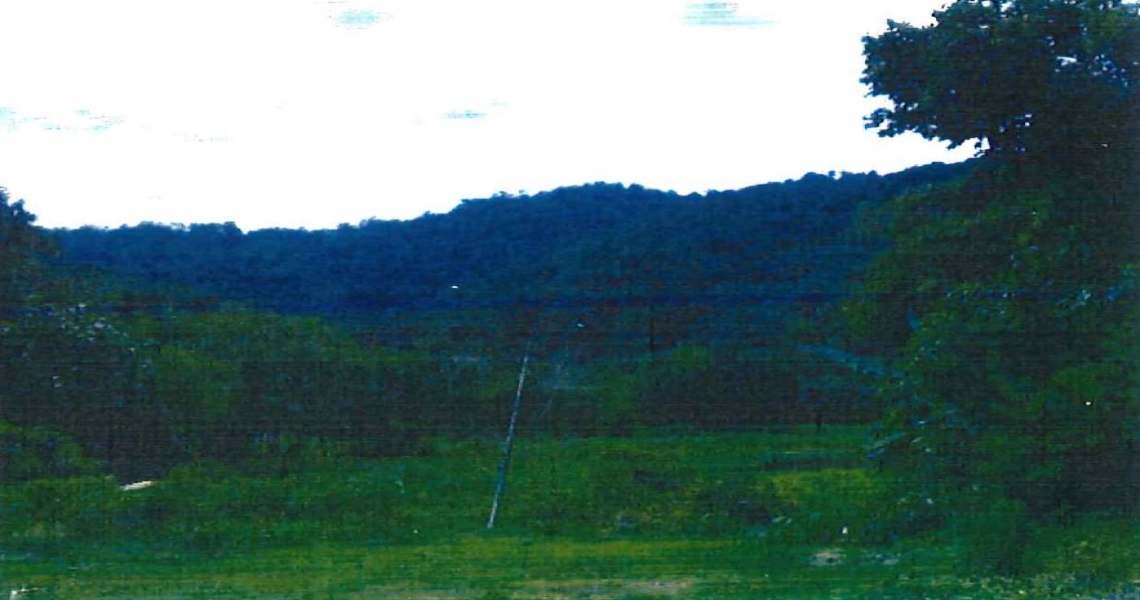 AssetsLink SME Bank Asset and Property Listings Vacant land for