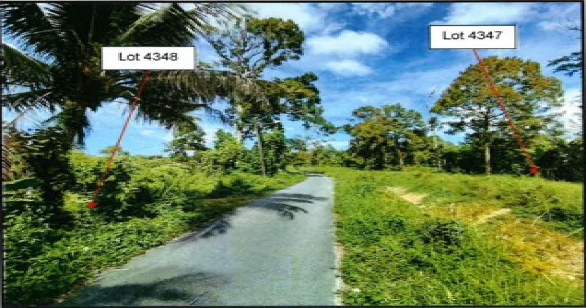 Picture3.jpg