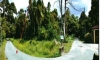 Picture5.jpg