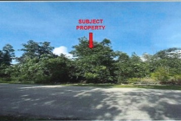 A VACANT INDUSTRIAL LAND (LOT 7)